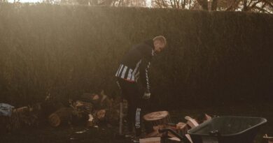 jak odgrodzić się od sąsiada roślinami