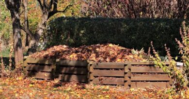 co wrzucać do kompostownika