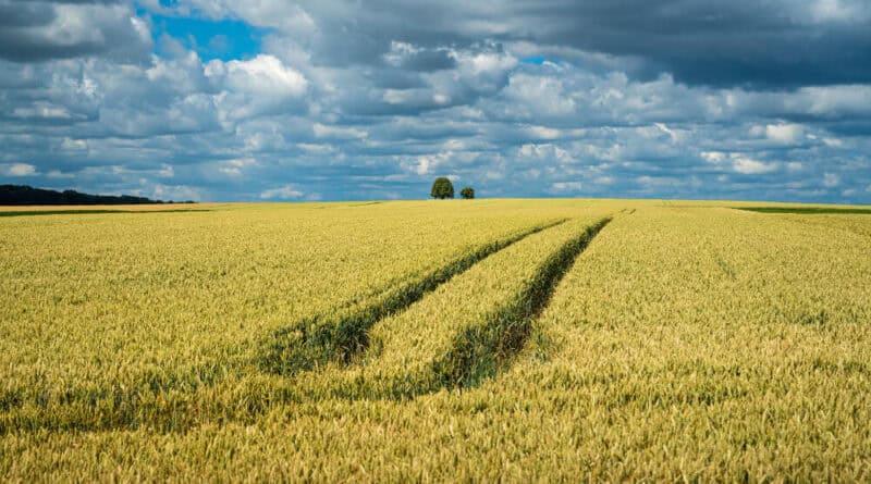 czy można wywozić gnojowicę na pole