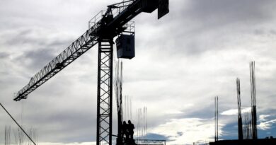 porównanie dźwigów